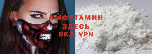метадон Алексин